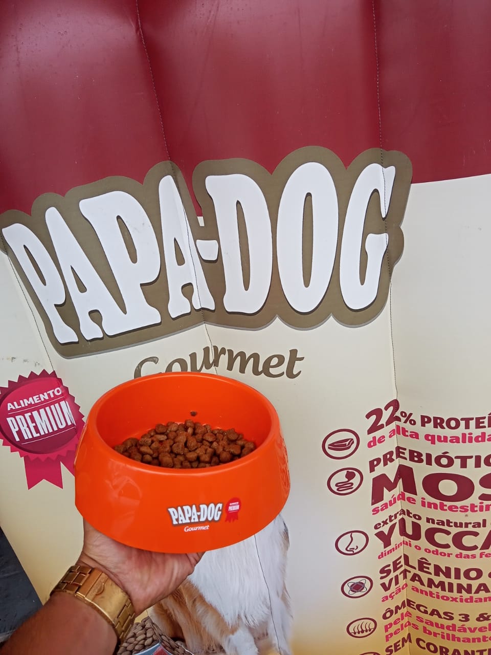 BR Pets - Contagem-MG