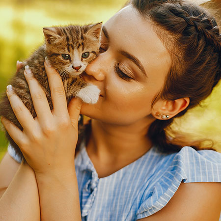 Adotei um gatinho e agora?
